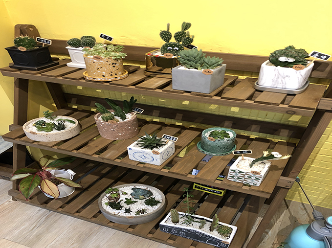 lorem ipsum dolor sit